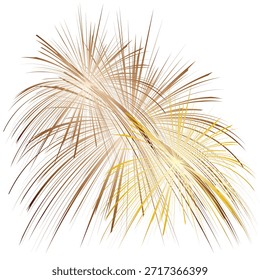 Ícone de fogos de artifício festivos. Vetor EPS 10 AI