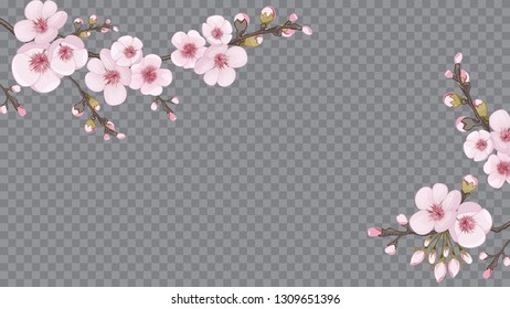 Festive frame horizontal of sakura flowers. Theme design fabric, invitations, packaging, cards. Magenta on transparent background. Handmade background in the Japanese style.