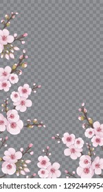 Festive frame vertical of sakura flowers. Rose on transparent fond. Handmade background in Chinese style. Theme design fabric, invitations, packaging, cards, story.