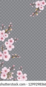 Festive frame vertical of sakura flowers. Handmade background in Chinese style. Pink on transparent fond. Theme design textiles, wallpaper, packaging, printing, story.
