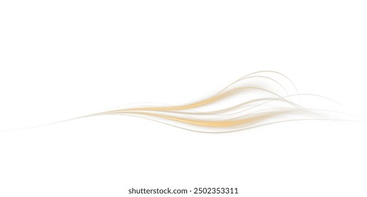 Festive gold stripe on white background. Yellow curl twirl for the holidays. Gold colored curve rope. Vector png twirl, line, curve, rope, stripe design element.