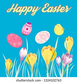 Festive greeting Easter card with eggs and chicken among crocus flowers