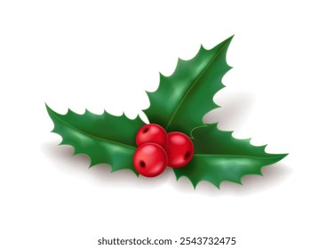 Festive holly branch with red berries and green leaves realistic vector illustration. Christmas celebration decorative plant 3d object on white background