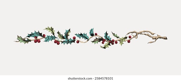 Festive holly branch with red berries and green leaves. Holly branch with berries. Green leaves and red berries on a holly branch. Decorative holly branch. Vintage art illustration, vector.