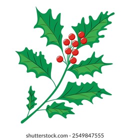 Una ilustración festiva de acebo con hojas puntiagudas verdes y bayas rojas brillantes, comúnmente asociadas con Navidades y decoraciones navideñas.