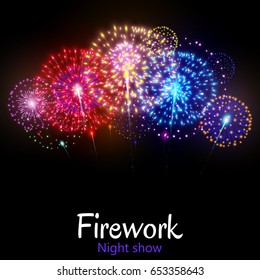 Festive night fireworks. Vector.
