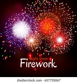 Festive night fireworks. Vector.
