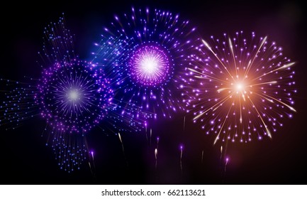 Festive night fireworks. Vector.