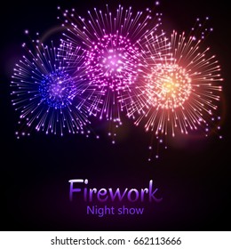 Festive night fireworks. Vector.