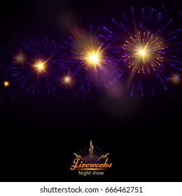 Festive night fireworks. Vector.