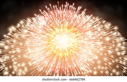Festive night fireworks. Vector.