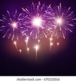 Festive night fireworks. Vector.