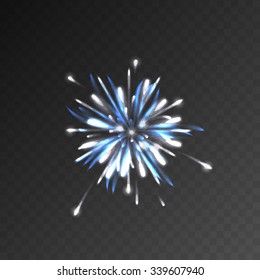 Festive patterned firework bursting sparkling pictogram against transparent mesh. Background abstract vector isolated illustration