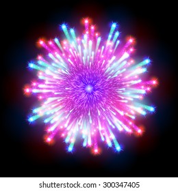 Festive patterned firework  bursting  in various shapes sparkling pictograms set  against black background abstract vector isolated illustration art