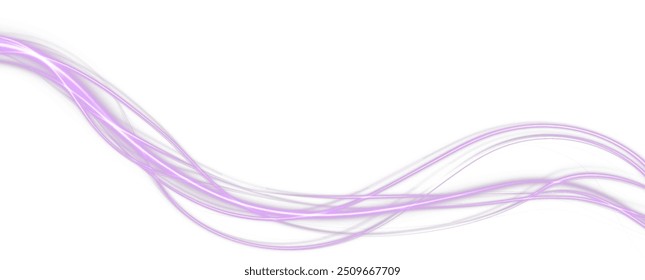 Festive pink stripe on white background. pink curl twirl for the holidays. pink colored curve rope. Vector png twirl, line, curve, rope, stripe design element.