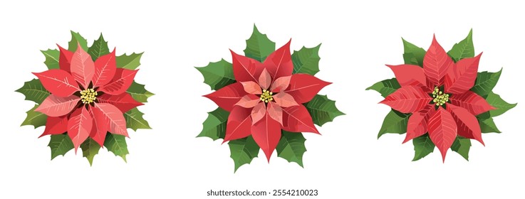 Festive poinsettia illustrations with vibrant red petals and green leaves for Christmas decor. Design for banners, cards, flyers, celebration, wedding, invitation, social media wallpapers.