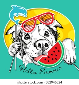 Festive poster with portrait of a dog with summer photo booth props. Vector illustration.