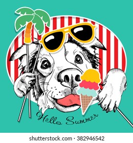 Festive poster with portrait of a dog with summer photo booth props. Vector illustration.