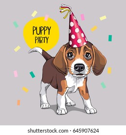 Festive poster. Puppy Beagle in a Party hat. Vector illustration.