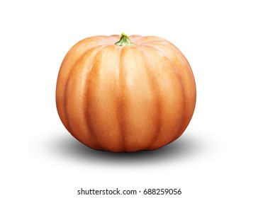 A festive pumpkin stands on the background. Vector