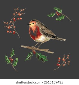 Festive Robin with Holly and Berries on Dark Background