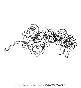 Festive Sakura isolated on white background. Oriental traditional, outline vector illustration. Japanese, Chinese, Korean  trendy design, Celebration Event Greeting card Party Invitation Poster Flyer