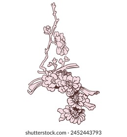 Festive Sakura isolated on white background. Oriental traditional, outline vector illustration. Japanese, Chinese, Korean  trendy design, Celebration Event Greeting card Party Invitation Poster Flyer