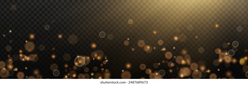 Fondo de Vector festivo para vacaciones, presentaciones, cubiertas, diseño de vacaciones. Efecto de cuento de hadas de luz brillante bokeh volando suavemente sobre un fondo negro suave bañado en los rayos del sol cálido.