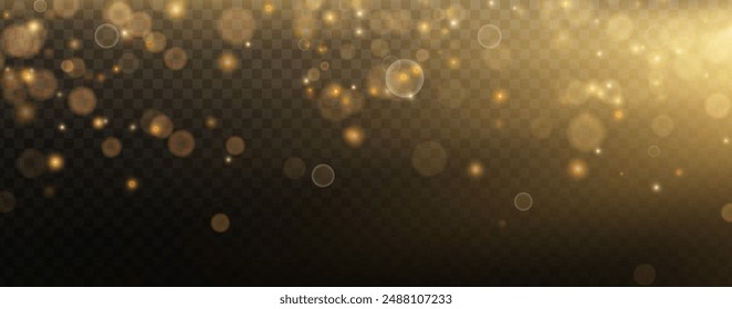 Fondo de Vector festivo para vacaciones, presentaciones, cubiertas, diseño de vacaciones. Efecto de cuento de hadas de luz brillante bokeh volando suavemente sobre un fondo negro suave bañado en los rayos del sol cálido.