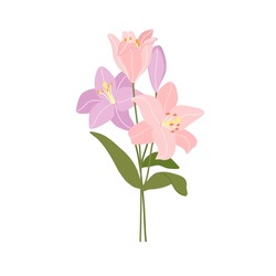 Festive Vector Illustration With Branches Of Lilies Flowers And Green Leaves. Bouquet Of Pink Lilies Isolated On White. Floral Composition For Spring Design. Greeting Card Template. Mothers Day