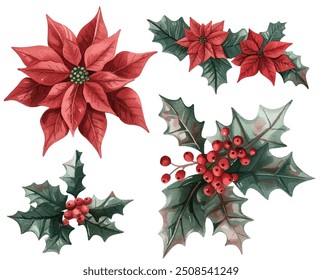 Festive, watercolor-style  poinsettia flowers and holly leaves with berries vector illustrations. Poinsettias with vibrant red petals and green centers. Holly leaves rich green, red berries  clusters