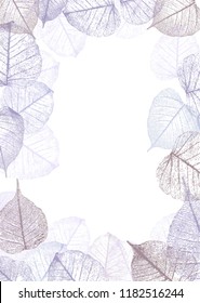 Festive winter background with frame of hoarfrost leaves, vector illustration,