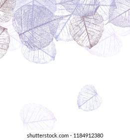 Festive winter background with frame of hoarfrost leaves, vector illustration,