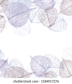 Festive winter background with frame of hoarfrost leaves, vector illustration,