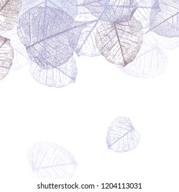 Festive Winter Background With Frame Of Hoarfrost Leaves, Vector Illustration,