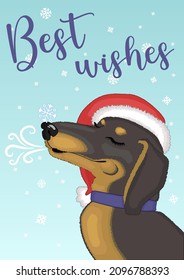 Festive winter card "Best wishes" with an illustration of a smiling black dachshund dog in profile wearing a Santa Claus hat and a snowflake on his nose under a snowfall on a blue background