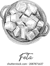 Feta cheese plate. Sketchy hand-drawn vector illustration. 