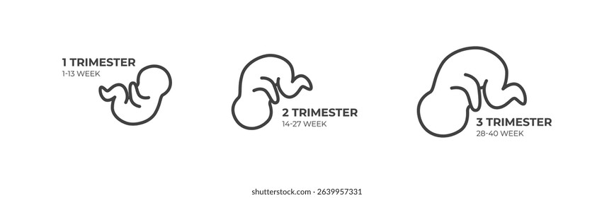 Fetal development icons showing pregnancy stages in outline vector style. Child growth symbols in medical timeline graphics set.