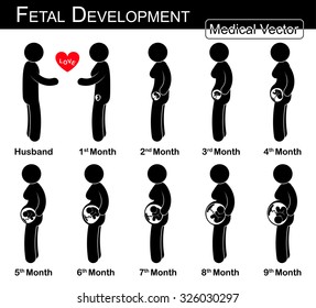 Fetal development ( pregnant woman and fetal growth in womb )( step by step )( Medical , Science & Healthcare infographic )( husband & wife concept )( flat , black and white design )( love & family )