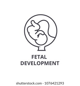 fetal development thin line icon, sign, symbol, illustation, linear concept, vector 