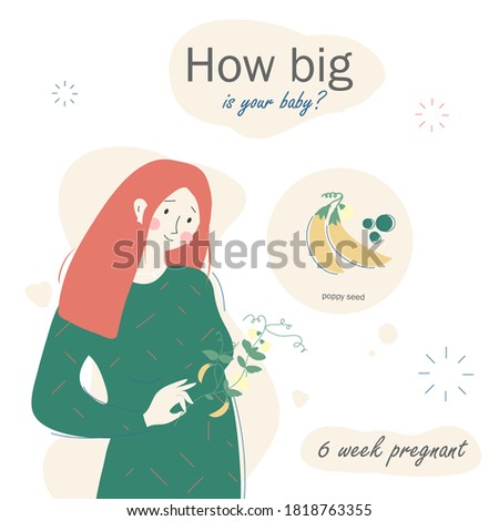 Fetal development week by week. Baby size. 6 week of pregnancy. Baby development. What your baby looks like. Building a baby. Pregnant woman with flowers. Poppy seed. Flat vector illustration