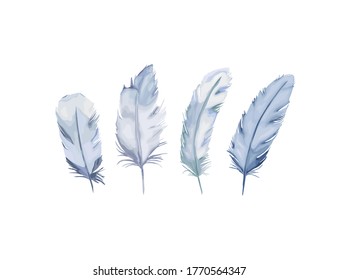 Fether realistic set. Vector isolated illustration on white background