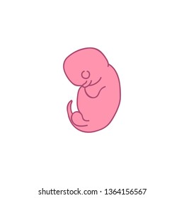 fetus 3 month doodle icon
