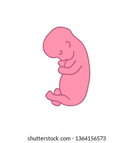 fetus 5 month doodle icon