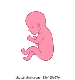 fetus 8 month doodle icon