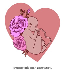 The fetus of the baby inside the red heart, in the womb with blossoming roses. Illustration of a baby on flowers and leaves. Vector icon. For cards, posters, coloring book,for scientific journals book