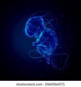 fetus (baby) in the womb anatomy , Dark  blue  background, Healthcare and medicine concept.