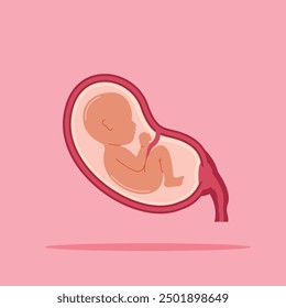  fetus baby in the womb. illustration of child development in the uterus. suitable for poster use and web icons