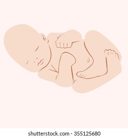 Fetus. Child. Newborn. Vector