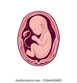 Fetus, child, unborn, inside mother, in mother's womb, children, baby, vector illustration